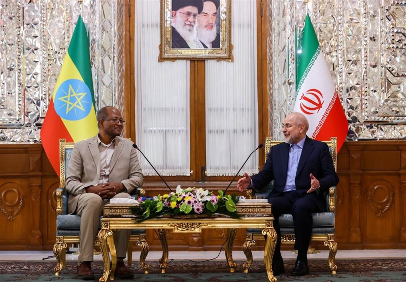 ایران به دنبال گسترش روابط اقتصادی با اعضای بریکس است